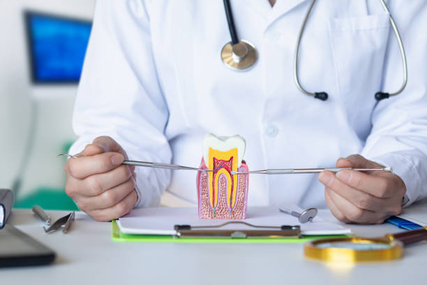 24-Hour Dental Clinic Near Me in VT